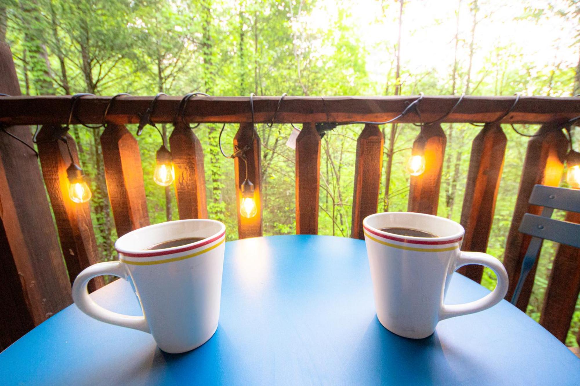 Love Me Tender Studio Cabin セバービル 部屋 写真
